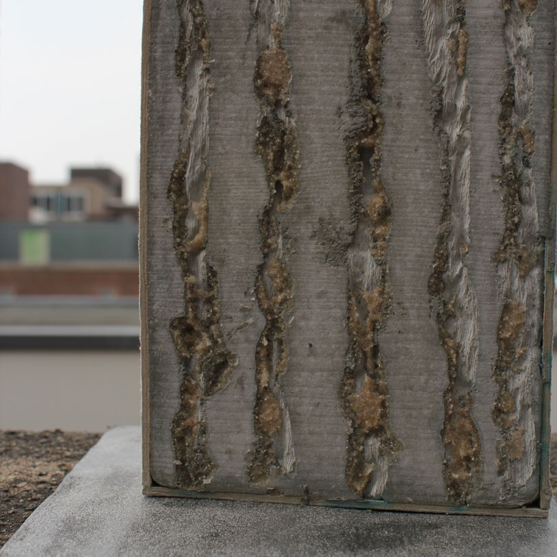 concrete5